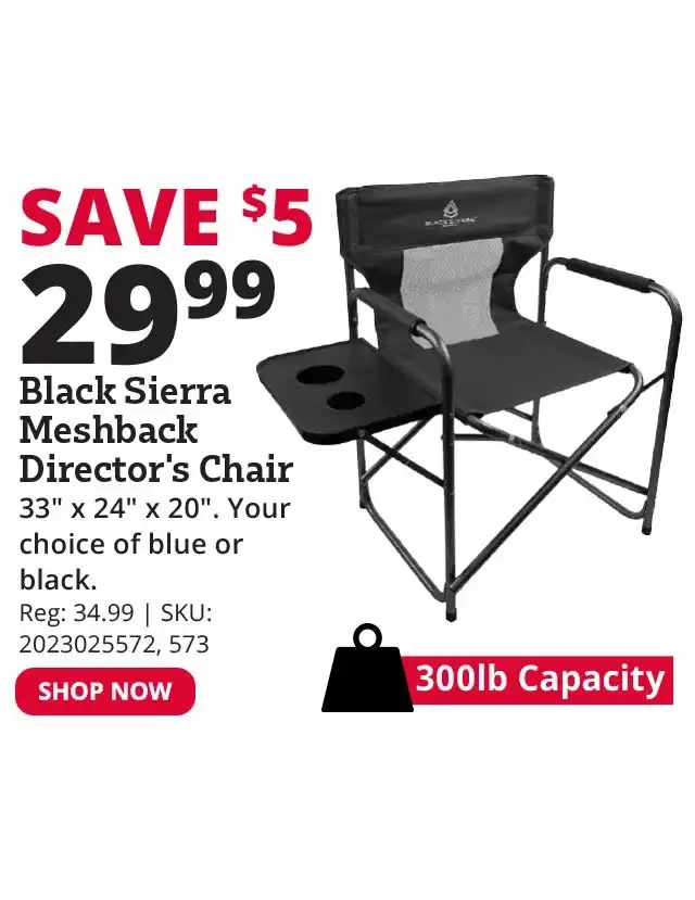 Black Sierra Meshback Director's Chair