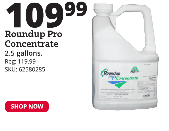 Roundup Pro Concentrate