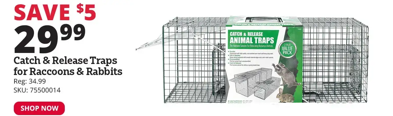 Catch & Release Traps for Raccoons and Rabbits, 2 Pack - 87-678-0204