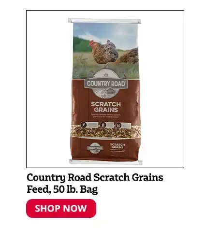 Country Road Scratch Grains Feed, 50 lb. Bag