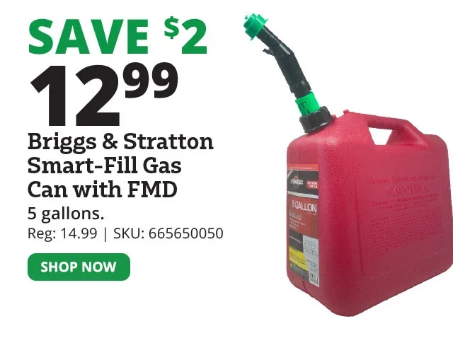 Briggs & Stratton® Smart-Fill with FMD 5 Gallon Gas Can - 84053