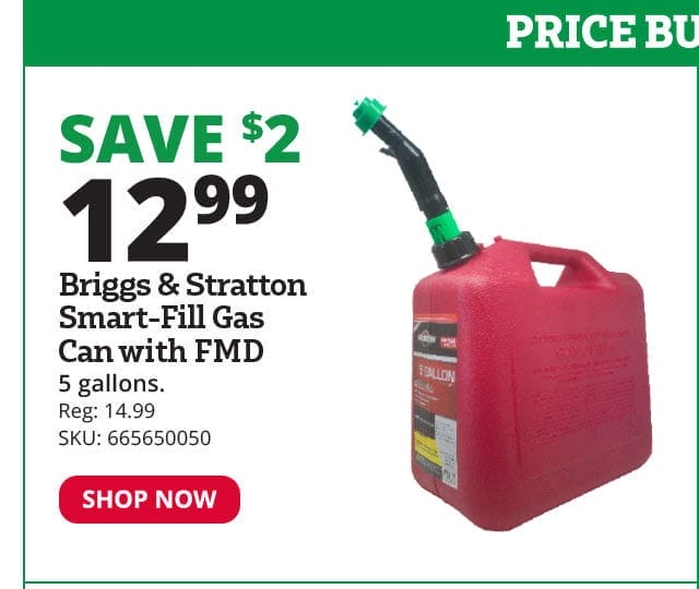 Briggs & Stratton® Smart-Fill with FMD 5 Gallon Gas Can - 84053