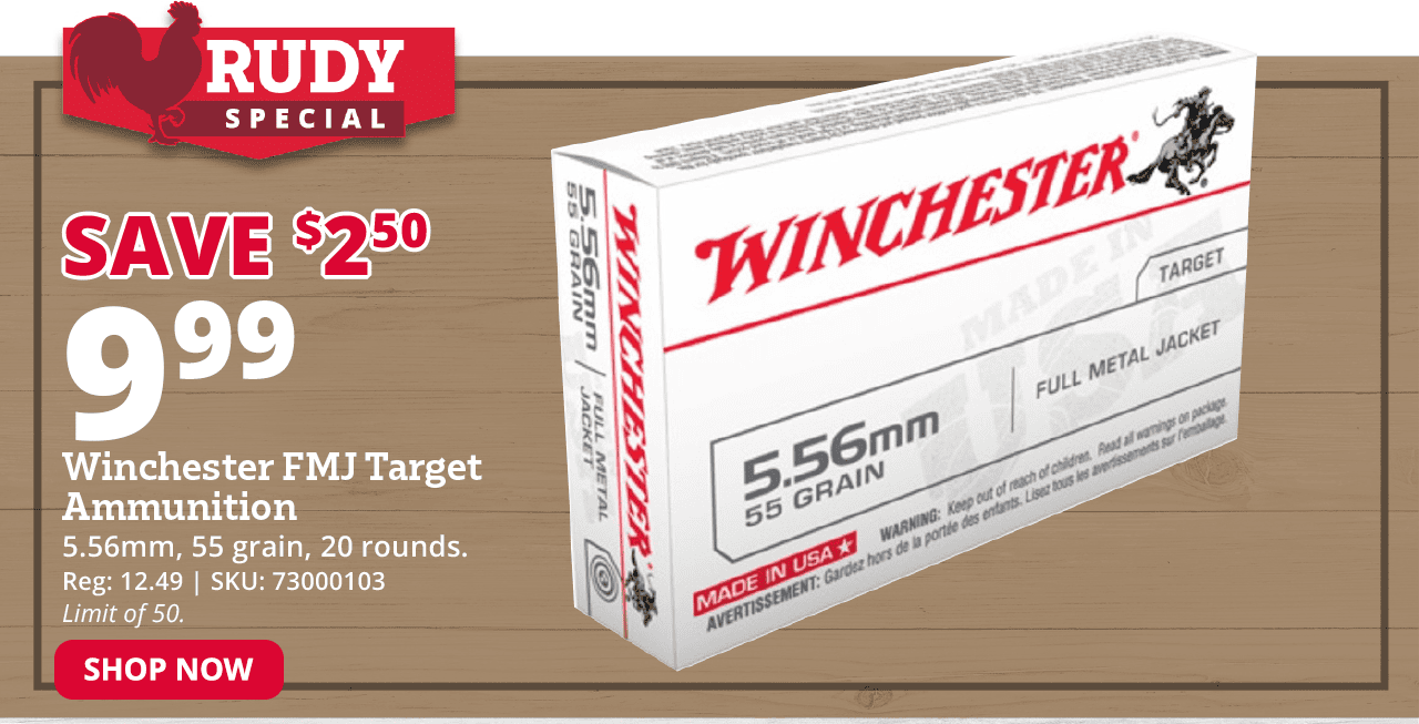 Winchester FMJ Target Ammunition