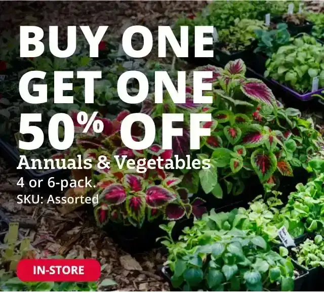 Buy One Get One 50% Annuals & Vegetables