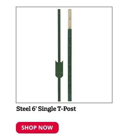 Steel 6' Single T Post - POSTTEE6FT