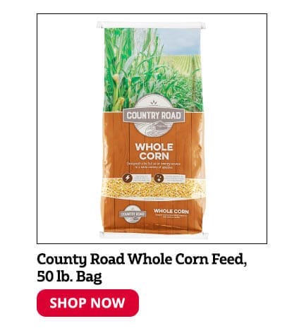 Country Road Whole Corn Feed, 50 lb. Bag