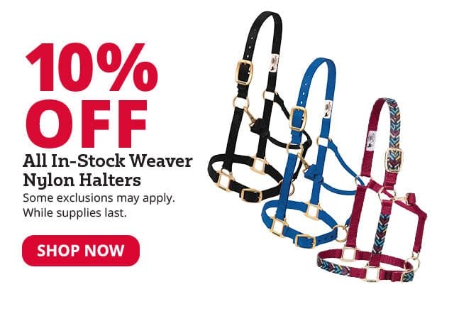 10% Off All In-Stock Weaver Nylon Halters