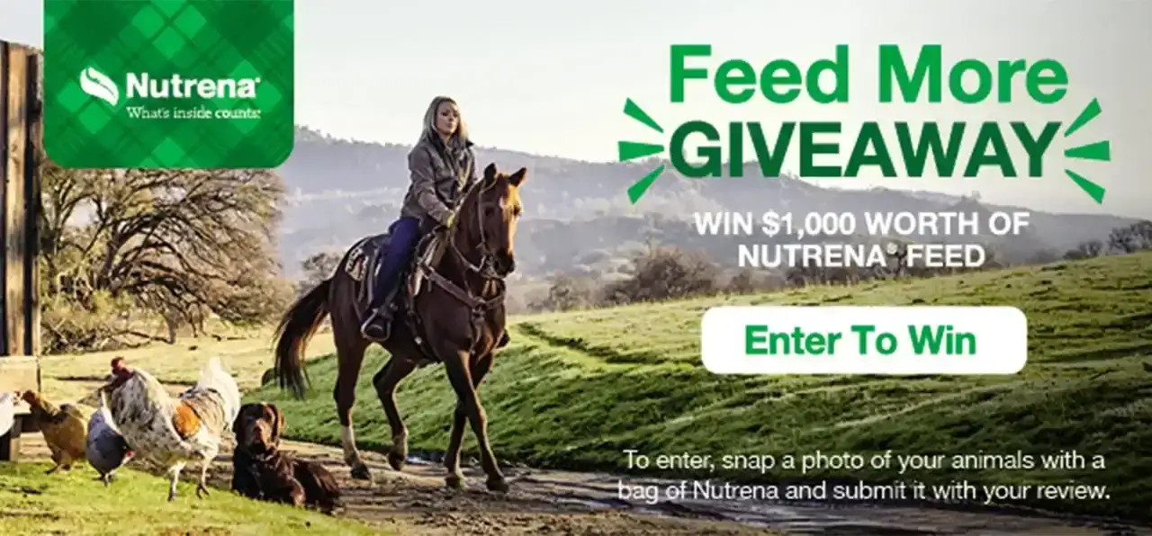 Nutrena Feed More Giveaway