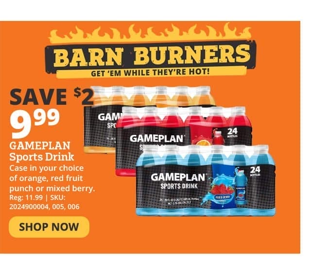 Gameplan Sports Drink, 20 oz.