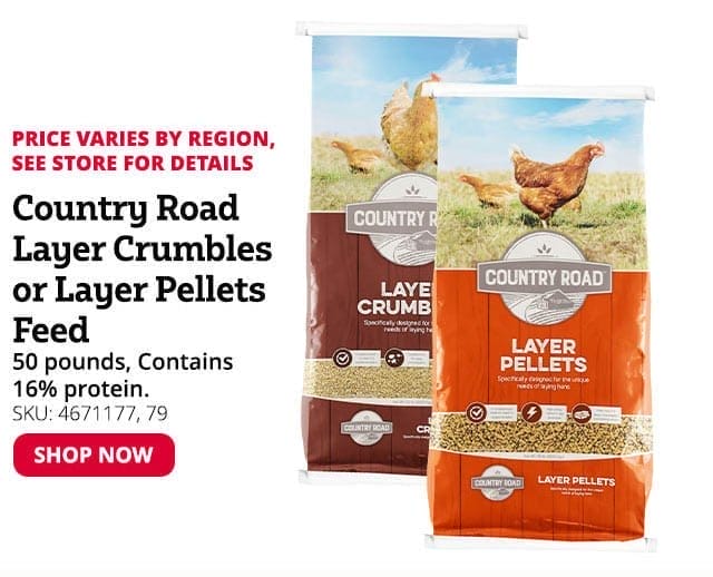 Country Road Layer Crumbles or Pellets Feed, 50 lb. Bag