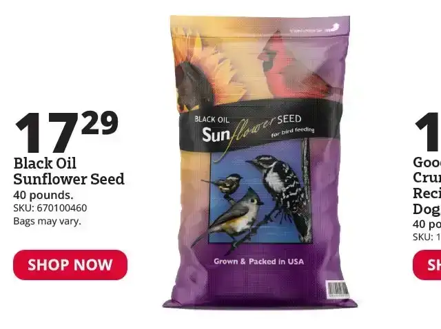 Black Oil Sunflower Seeds, 40 lb. Bag