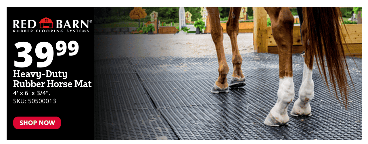 Heavy-Duty Rubber Horse Mat