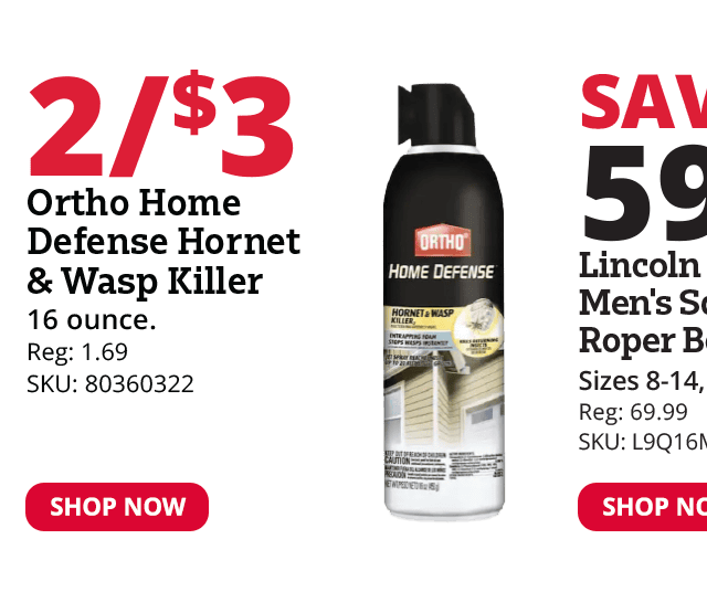 Ortho Home Defense Hornet & Wasp Killer