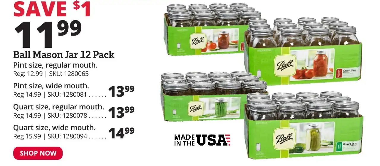 Ball Mason Jar 12 Packs