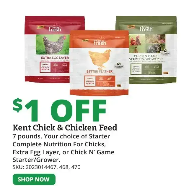 Kent Chick & Chicken Feed