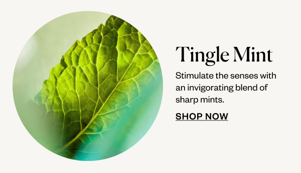 Tingle Mint. Shop Now.