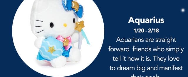 Aquarius: (January 20th to February 18th) Aquarians are energetic and dedicated to making the world a better place!