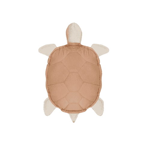 Lorena Canals Washable Turtle Cushion