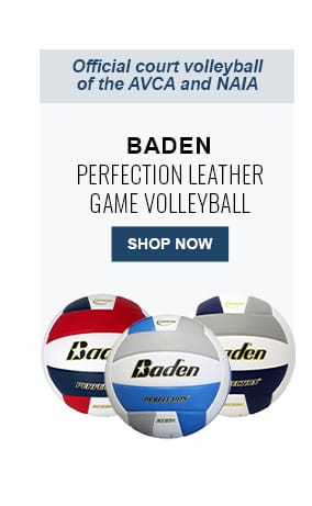 Baden Perfection Leather Game Volleyballs