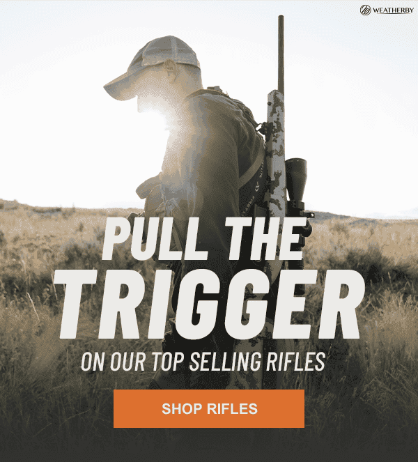 Shop Rifles