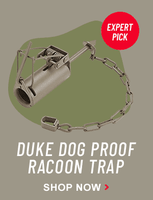 Shop Duke Dog Proof Racoon Trap