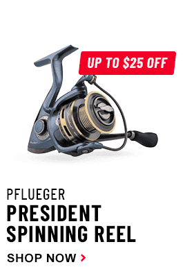 Shop Pflueger President Spinning Reel