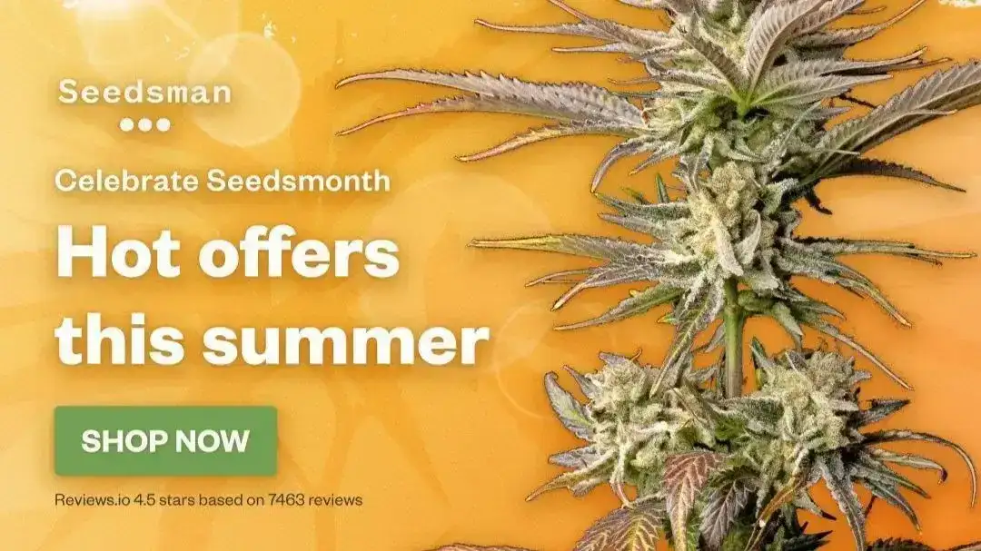 Free seeds across selected strains 