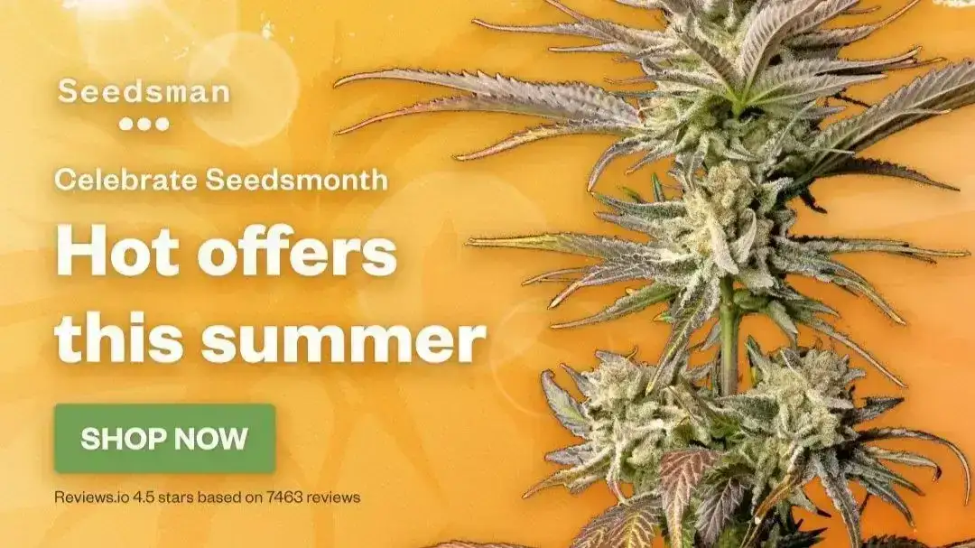 Free seeds across selected strains 