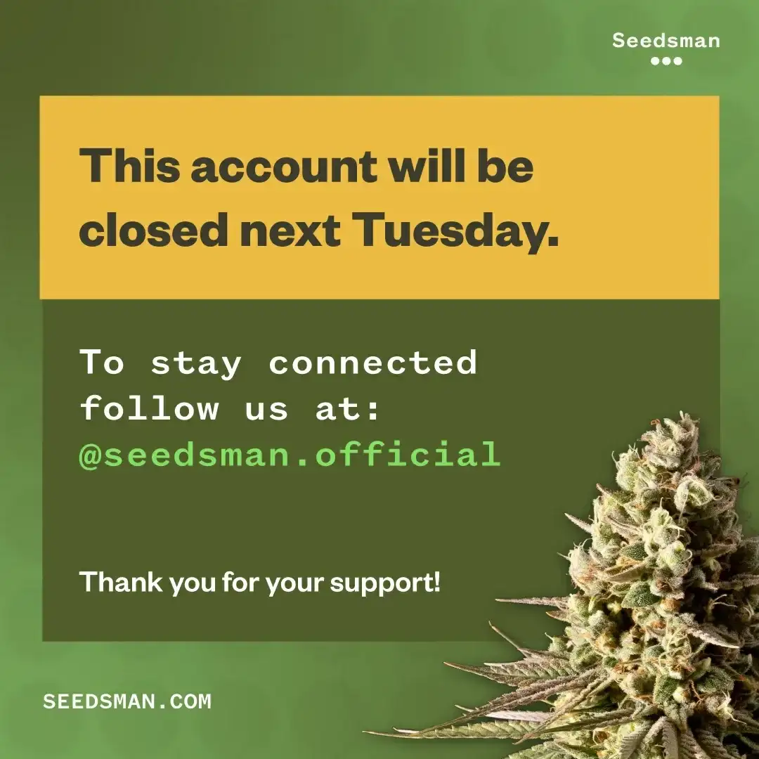 Follow the Seedsman blog