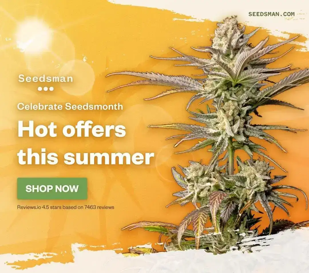 Free seeds across selected strains 