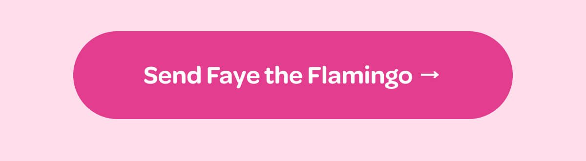 [Send Faye the Flamingo]