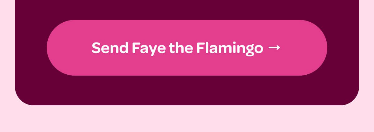 [Send Faye the Flamingo]