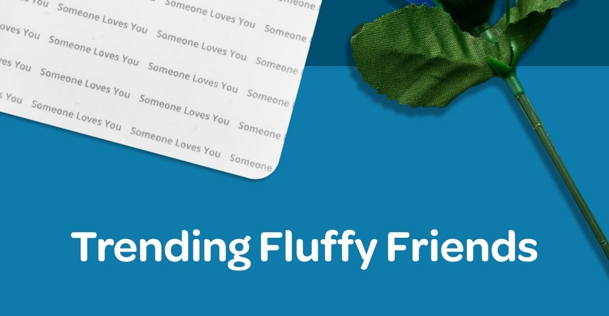 Trending Fluffy Friends