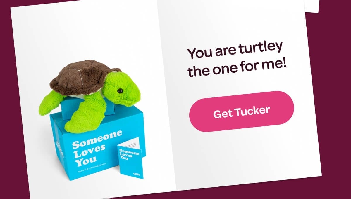 You are turtley the one for me! [Get Tucker]