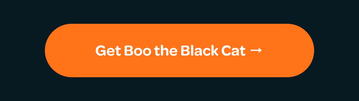 [Get Boo the Black Cat]