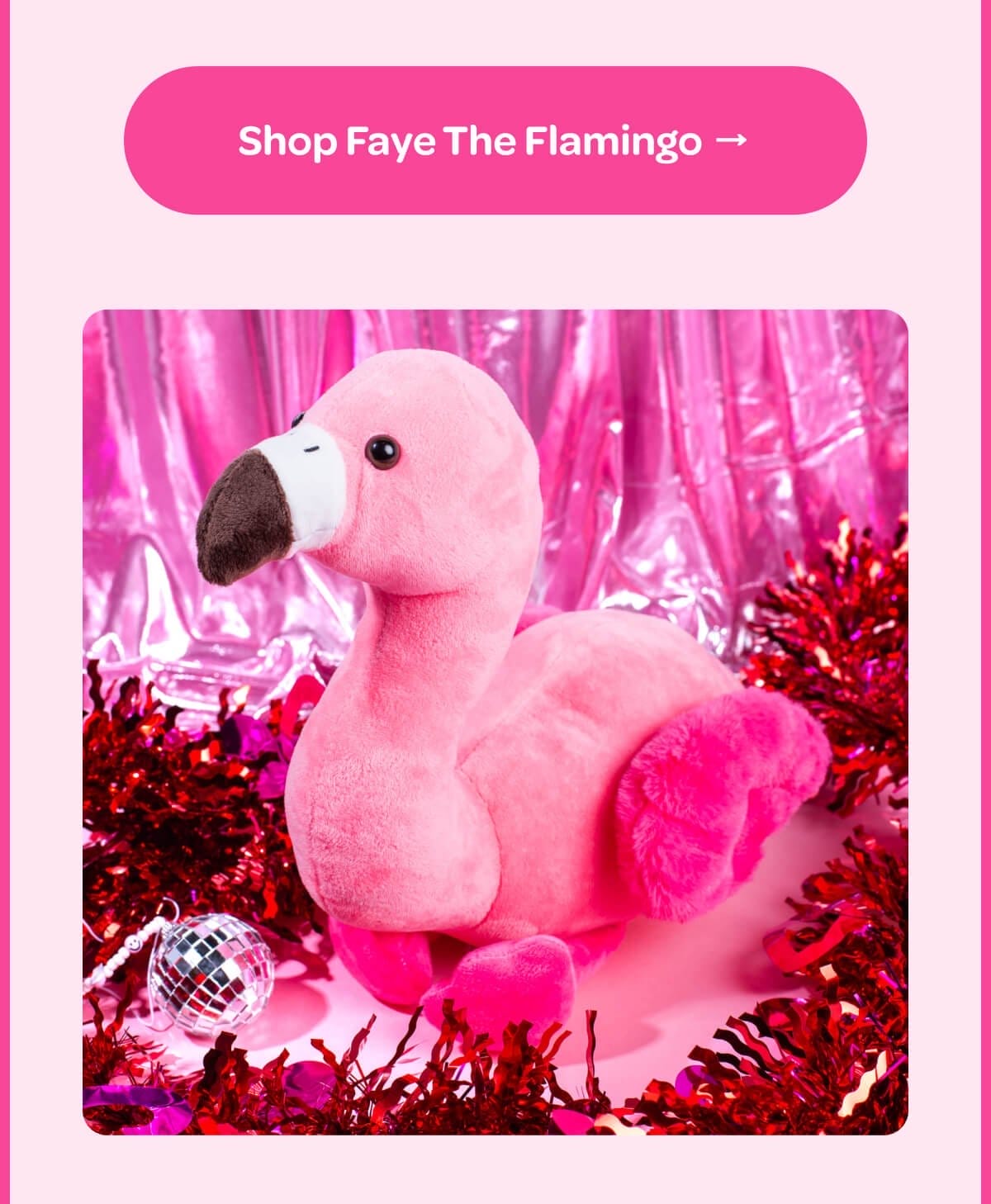 [Shop Faye The Flamingo]