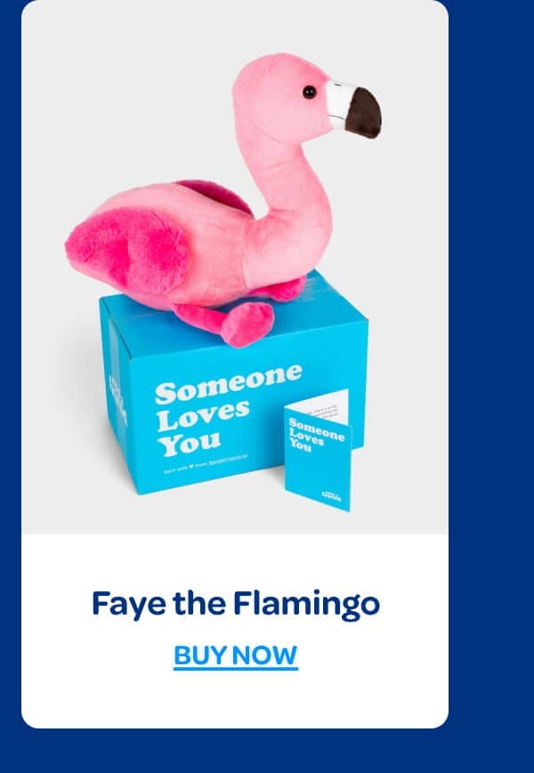 [Faye the Flamingo]