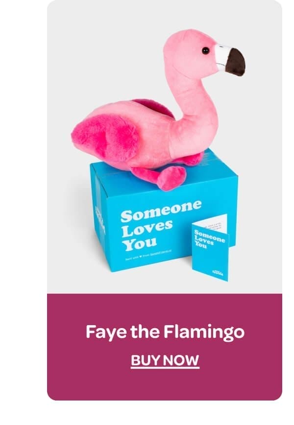 [Faye the Flamingo]