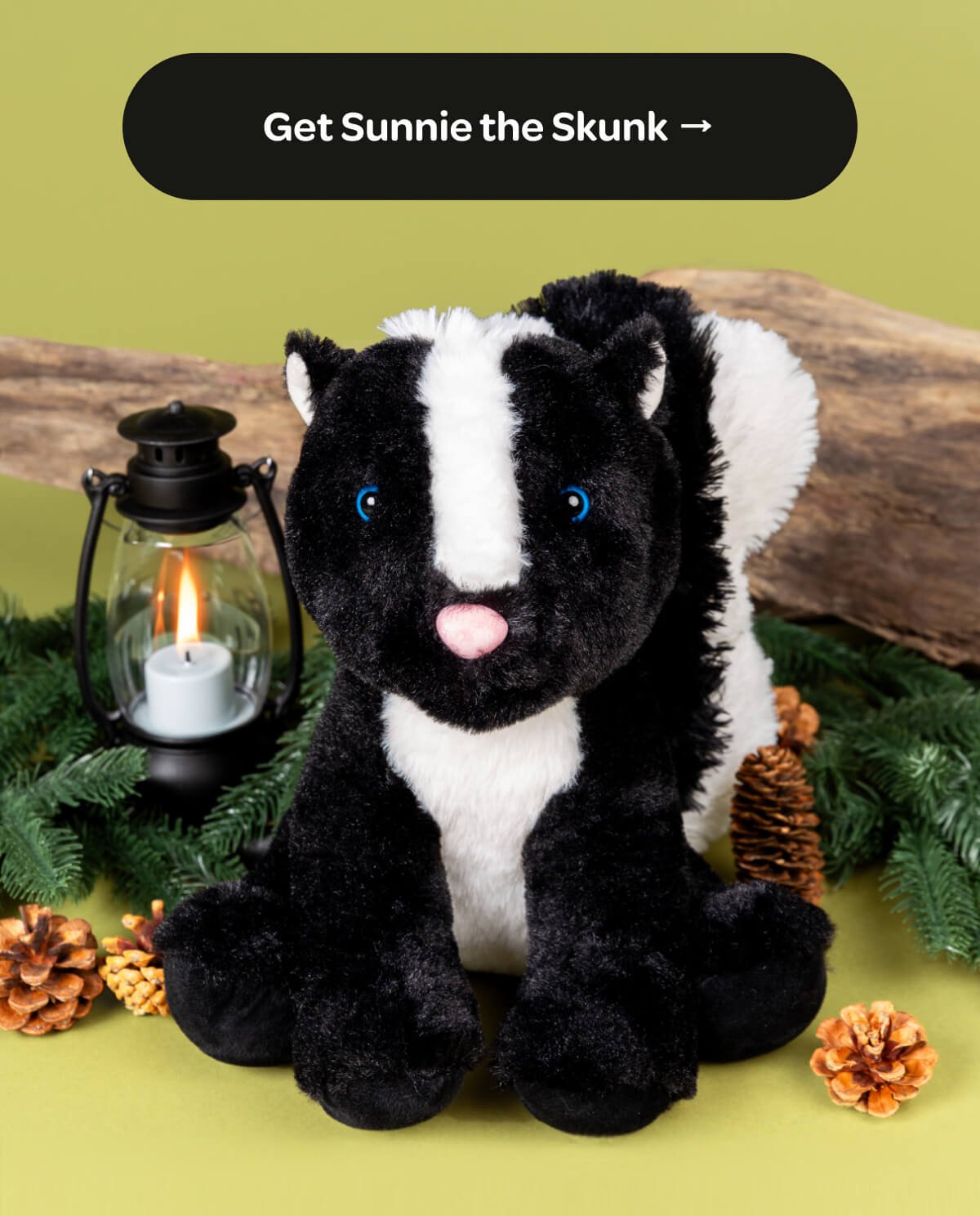 [Get Sunnie the Skunk]