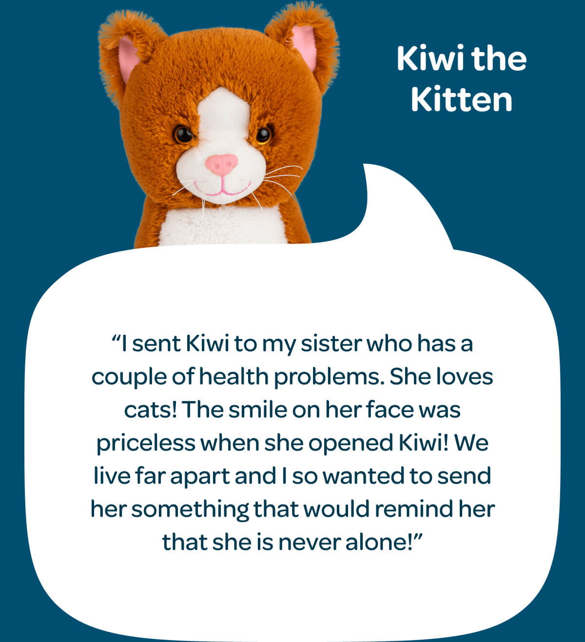 Kiwi the Kitten. “I sent Kiwi to my sister who has a couple of health problems. She loves cats! The smile on her face was priceless when she opened Kiwi! We live far apart and I so wanted to send her something that would remind her that she is never alone!”