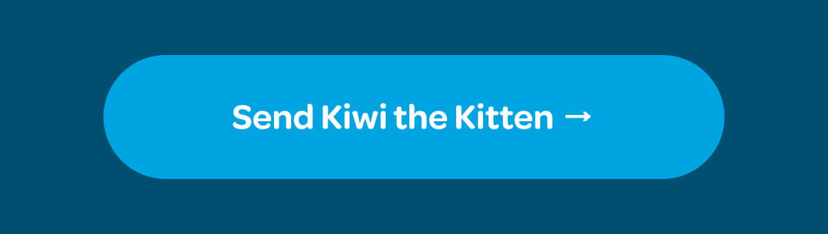 [Send Kiwi the Kitten]