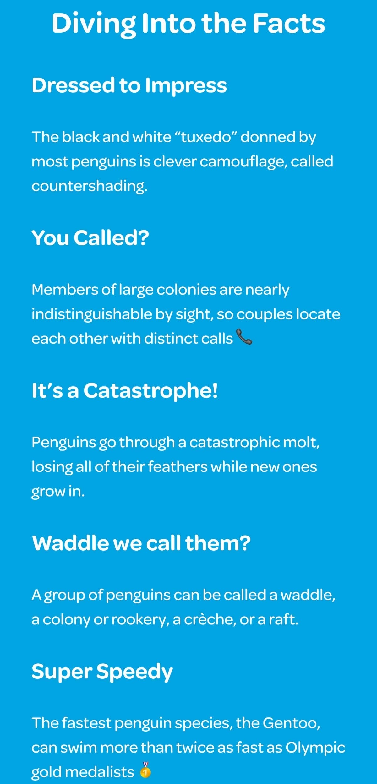 Diving Into the Facts. Dressed to Impress. The black and white “tuxedo” donned by most penguins is clever camouflage, called countershading. You Called? Members of large colonies are nearly indistinguishable by sight, so couples locate each other with distinct calls 📞 It’s a Catastrophe! Penguins go through a catastrophic molt, losing all of their feathers while new ones grow in. Waddle we call them? A group of penguins can be called a waddle, a colony or rookery, a crèche, or a raft. Super Speedy. The fastest penguin species, the Gentoo, can swim more than twice as fast as Olympic gold medalists 🥇