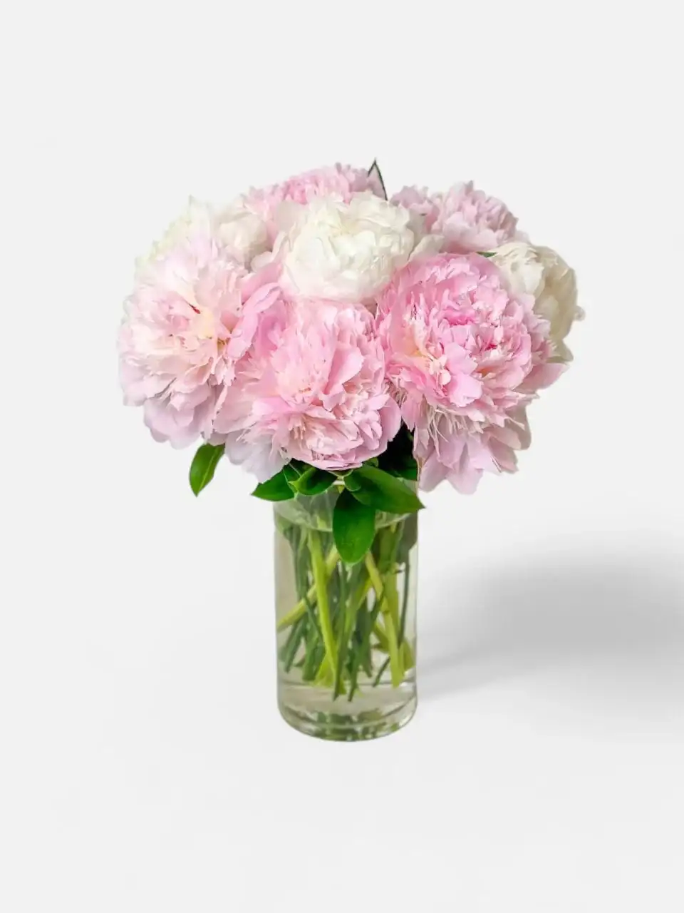 Image of Assorted Peonies