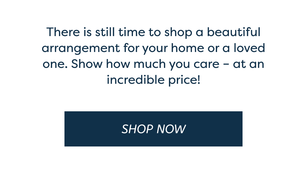 There is still time to shop a beautiful arrangement for your home or a loved one. Show how much you care – at an incredible price! [Shop Now]