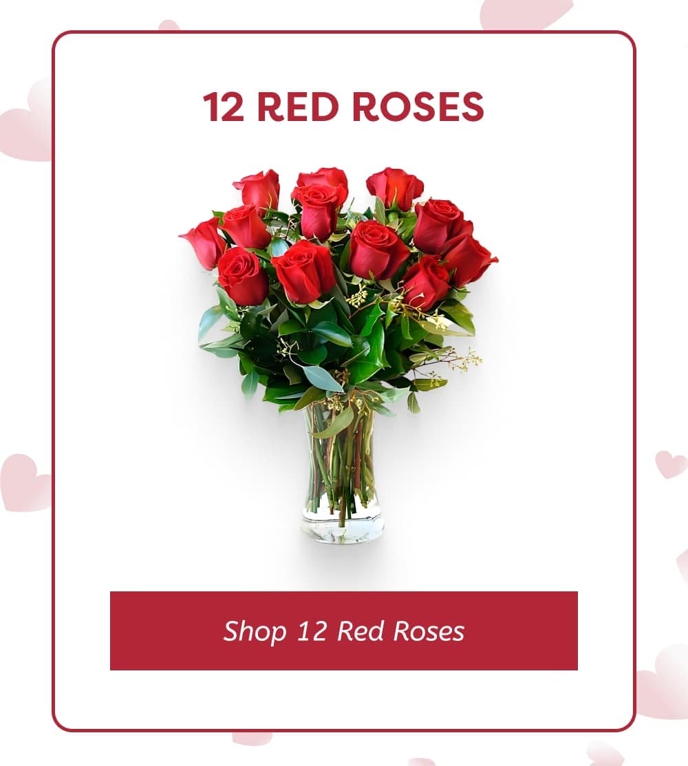 12 Red Roses [Shop 12 Red Roses]