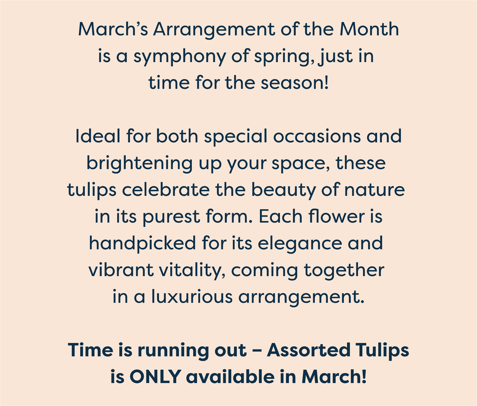 March’s Arrangement of the Month is a symphony of spring, just in time for the season! Ideal for both special occasions and brightening up your space, these tulips celebrate the beauty of nature in its purest form. Each flower is handpicked for its elegance and vibrant vitality, coming together in a luxurious arrangement. Time is running out – Assorted Tulips is ONLY available in March!