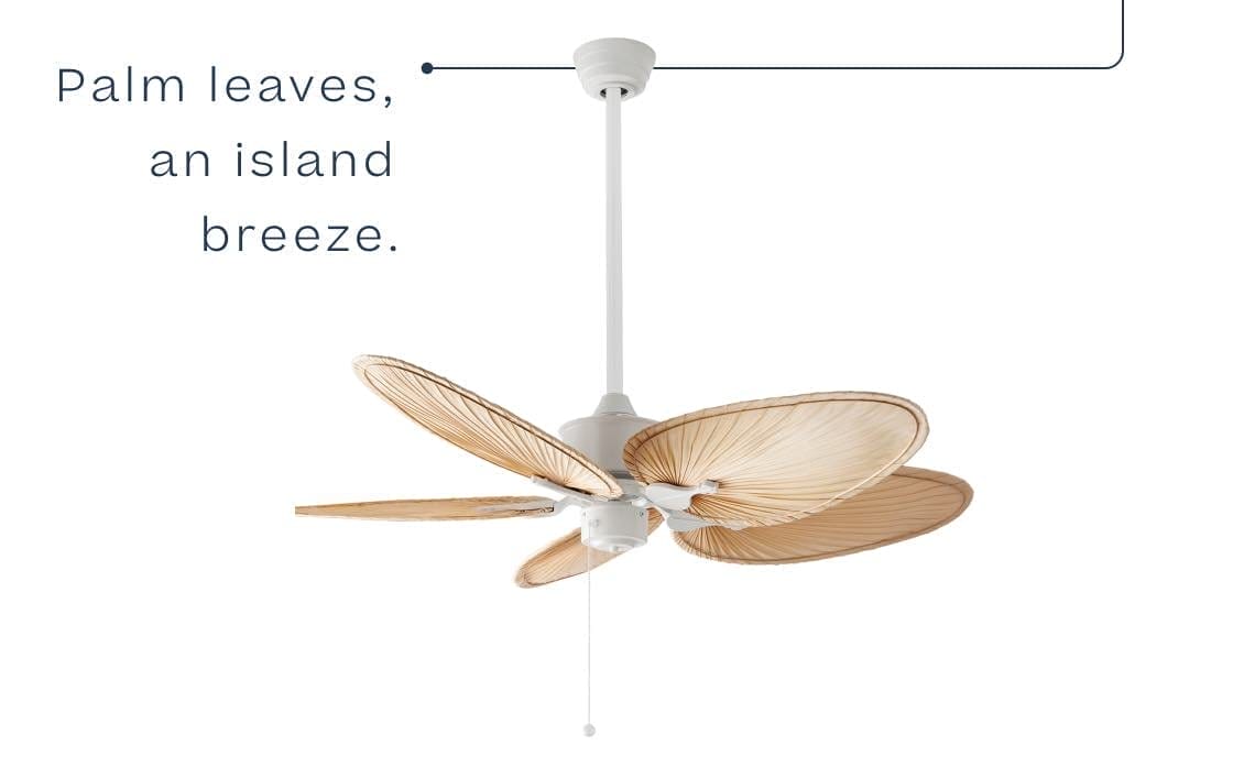 Belize Palm Indoor Fan