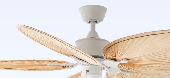 Belize Palm Indoor Ceiling Fan