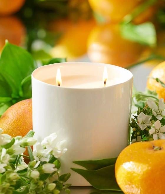 Orchard Royale Candle by Alla Costa