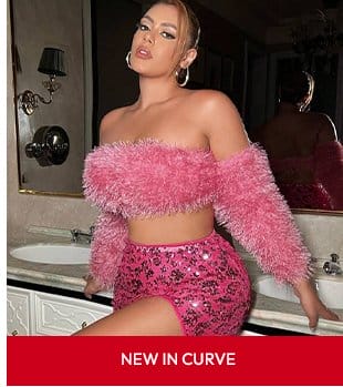 NEW IN CURVE